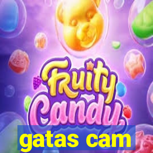gatas cam